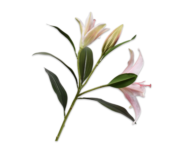 Lily | Lys 95cm RealTouch Pink