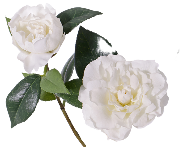 Camellia | Camélia 86cm RealTouch White