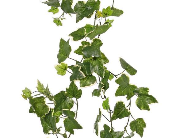 Ivy | Lierre 205cm Green White UVsafe