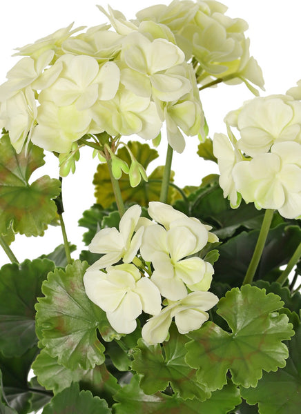 Geranium 39cm White UVsafe