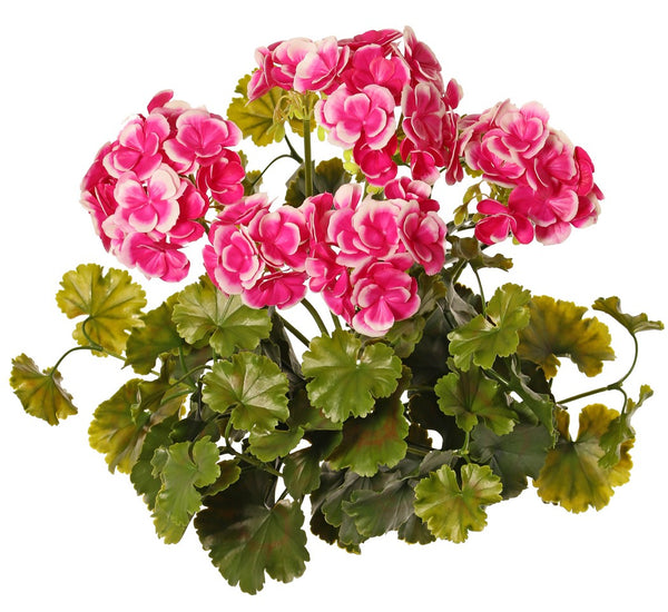 Geranium 39cm Fuchsia UVsafe