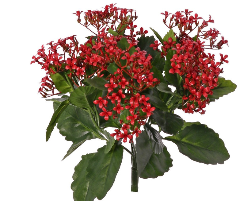 Kalanchoe 34cm Red UVsafe