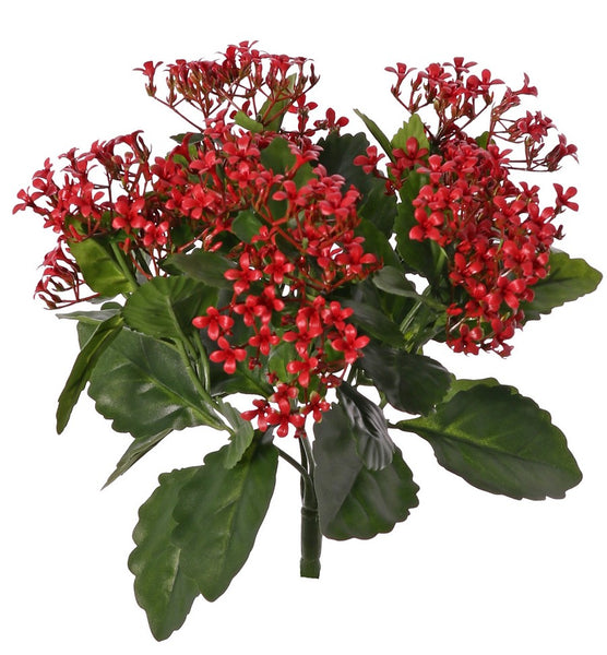 Kalanchoe 34cm Red UVsafe