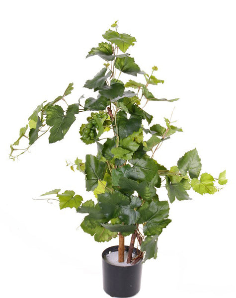 Grapevine | Vigne 90cm UVsafe