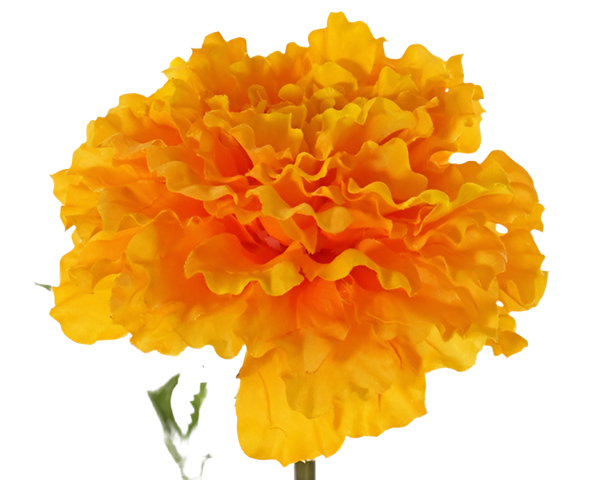 Marigold | Rose d'Inde 63cm Orange