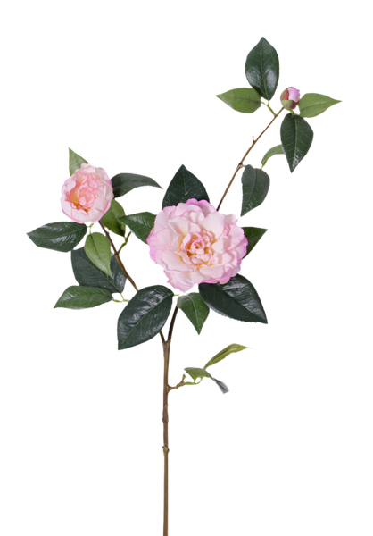 Camellia | Camélia 86cm RealTouch Pink