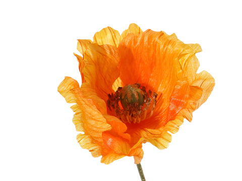 BC92936D-7FAD-4000-871E-