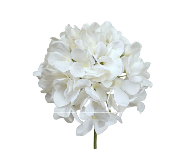 Hydrangea | Hortensia 48cm White