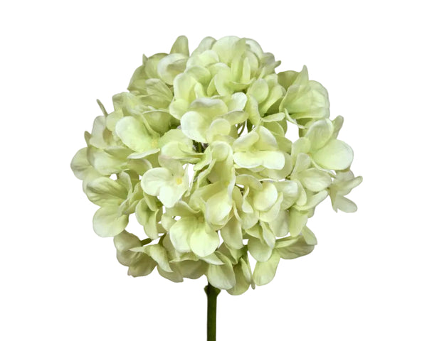 Hydrangea | Hortensia 48cm Light Green