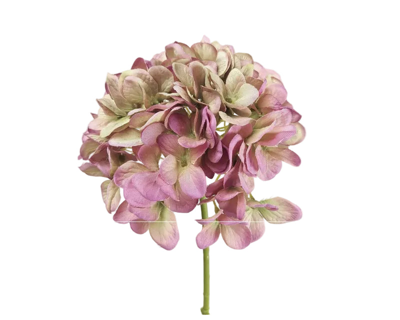 Hydrangea | Hortensia 48cm Green Purple