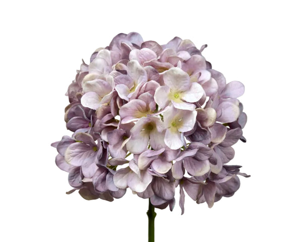 Hydrangea | Hortensia 48cm Lavender