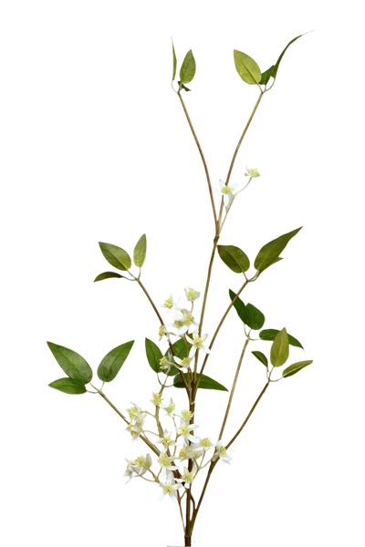 Jasmin | Jasmine 90cm White