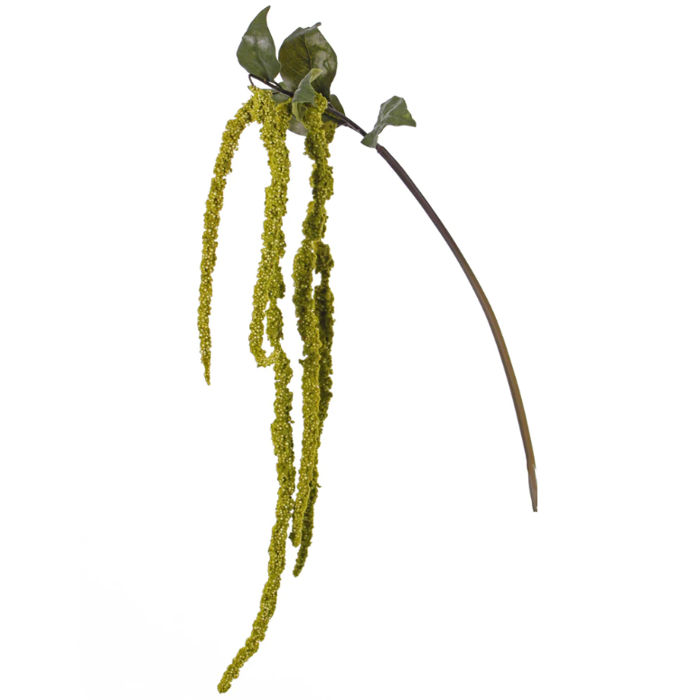 Amaranthus | Amarante 125cm Green