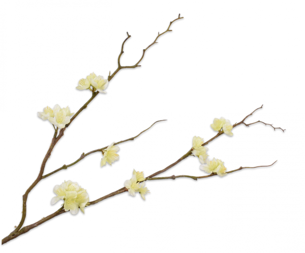 Blossom | Floraison 61cm Light Green