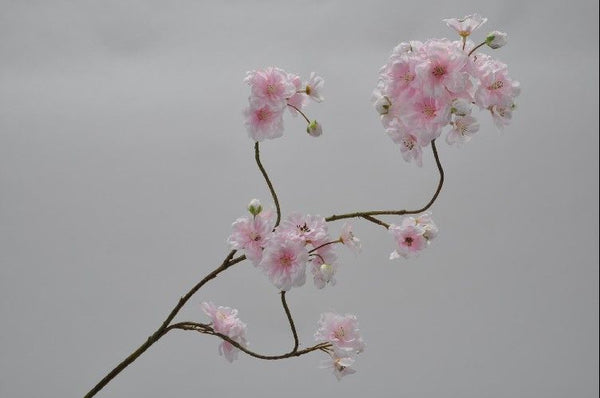 Cherry Blossom | Fleurs de Cerisier 84cm Light Pink