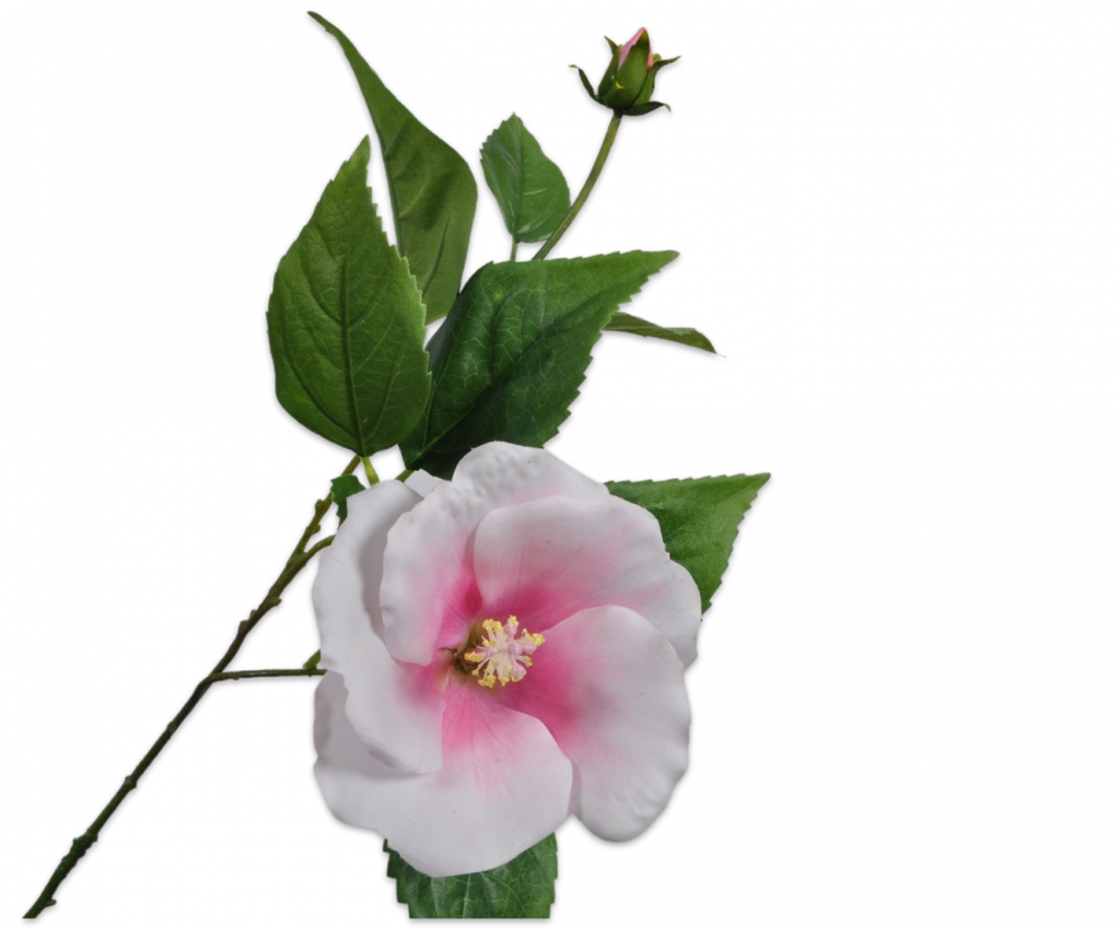 Hibiscus 72cm Cream Pink