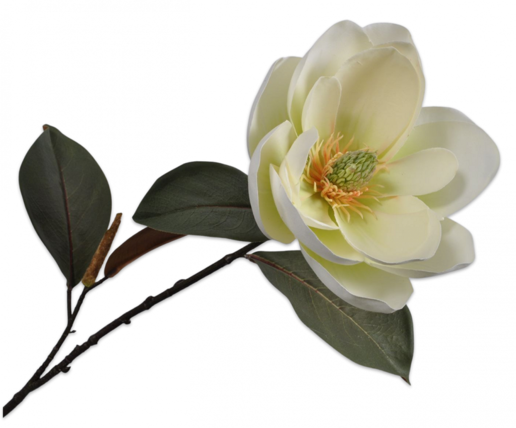 Magnolia 76cm Cream