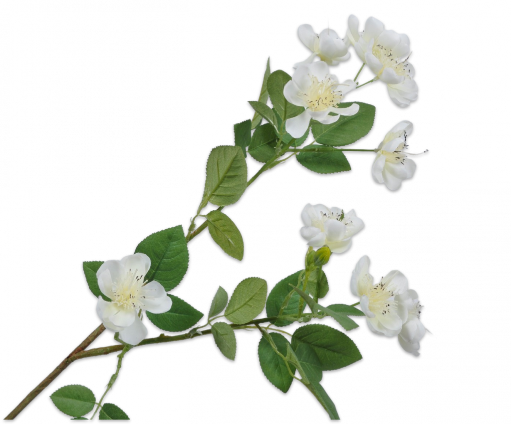 Blossom | Floraison 66cm Cream