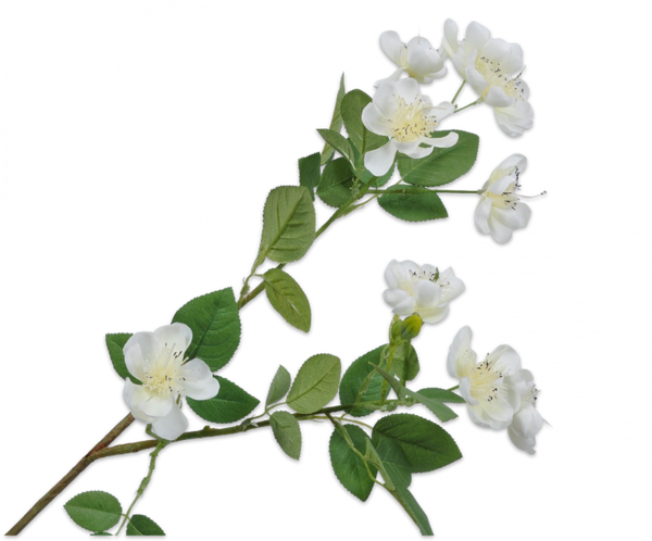 Blossom | Floraison 66cm Cream