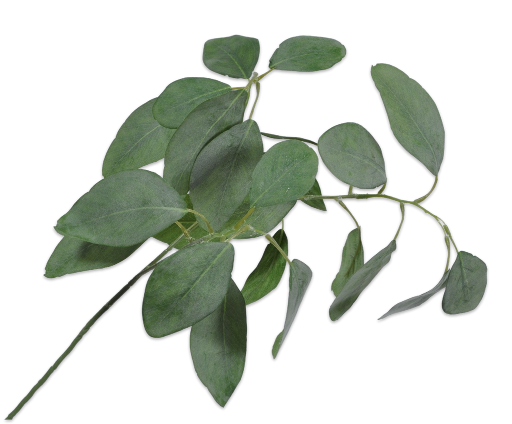 Eucalyptus 61cm Green