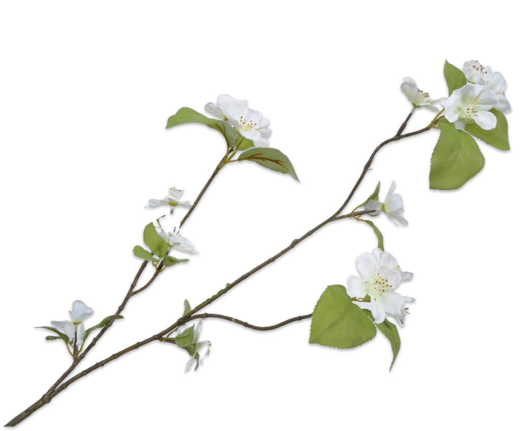 Apple blossom | Fleurs de Pommier 85cm White