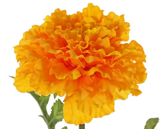 Marigold | Rose d'Inde 63cm Orange