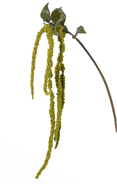 Amaranthus | Amarante 125cm Green
