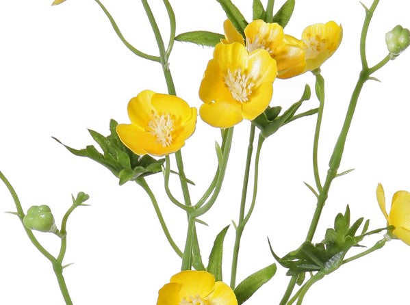 Buttercup | Bouton d'or 70cm Yellow