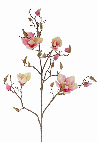 Magnolia 107cm Pink