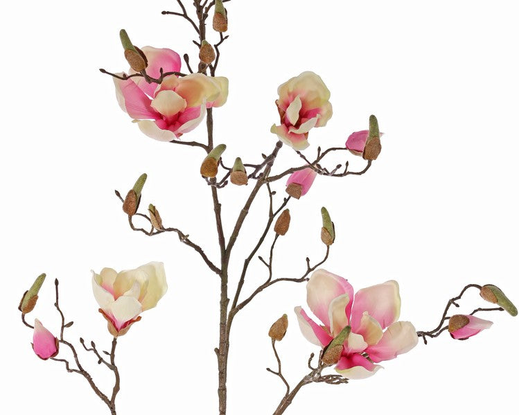Magnolia 107cm Pink