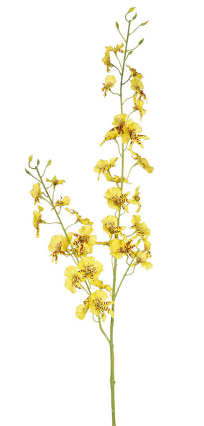 Orchid | Orchidée 87cm Yellow