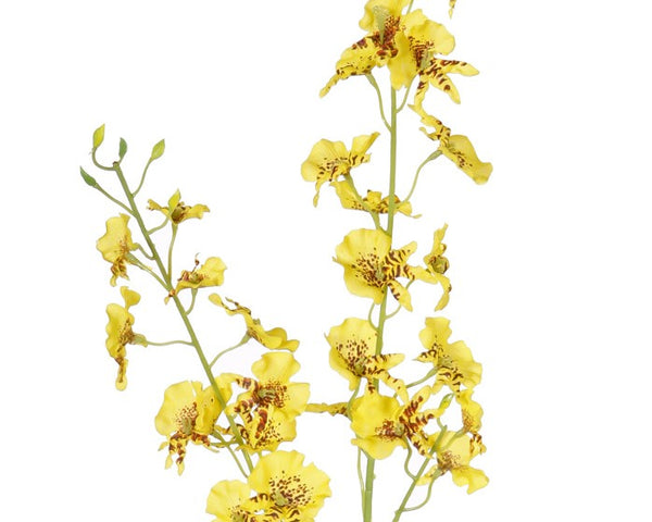 Orchid | Orchidée 87cm Yellow