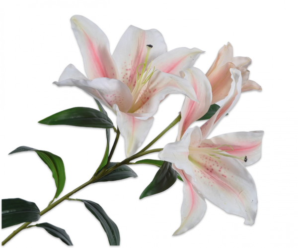 Lily | Lys 100cm Cream Pink