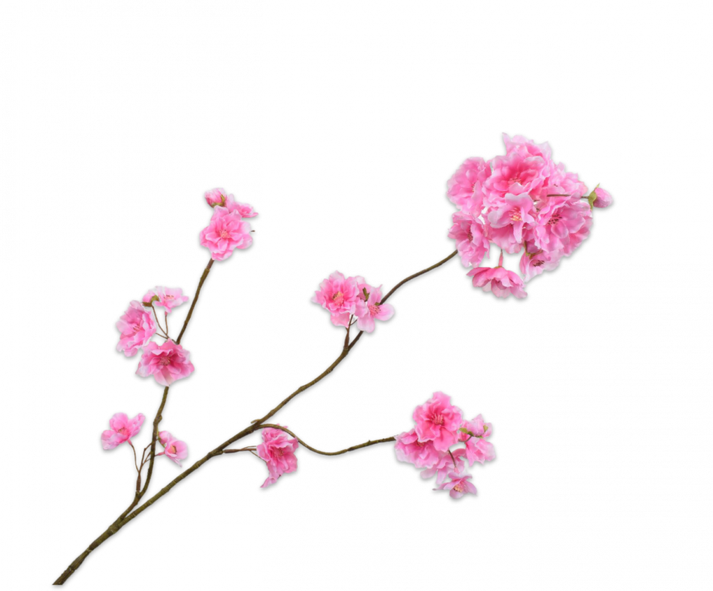 HI-LINE GIFT LTD. Cerisier en fleur illuminé, usage extérieur,200 lumières  DEL 39051-WW