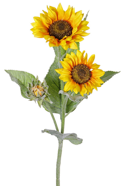 Sunflower | Tournesol 86cm Yellow
