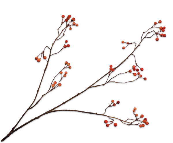 Berries | Baies 94cm Orange