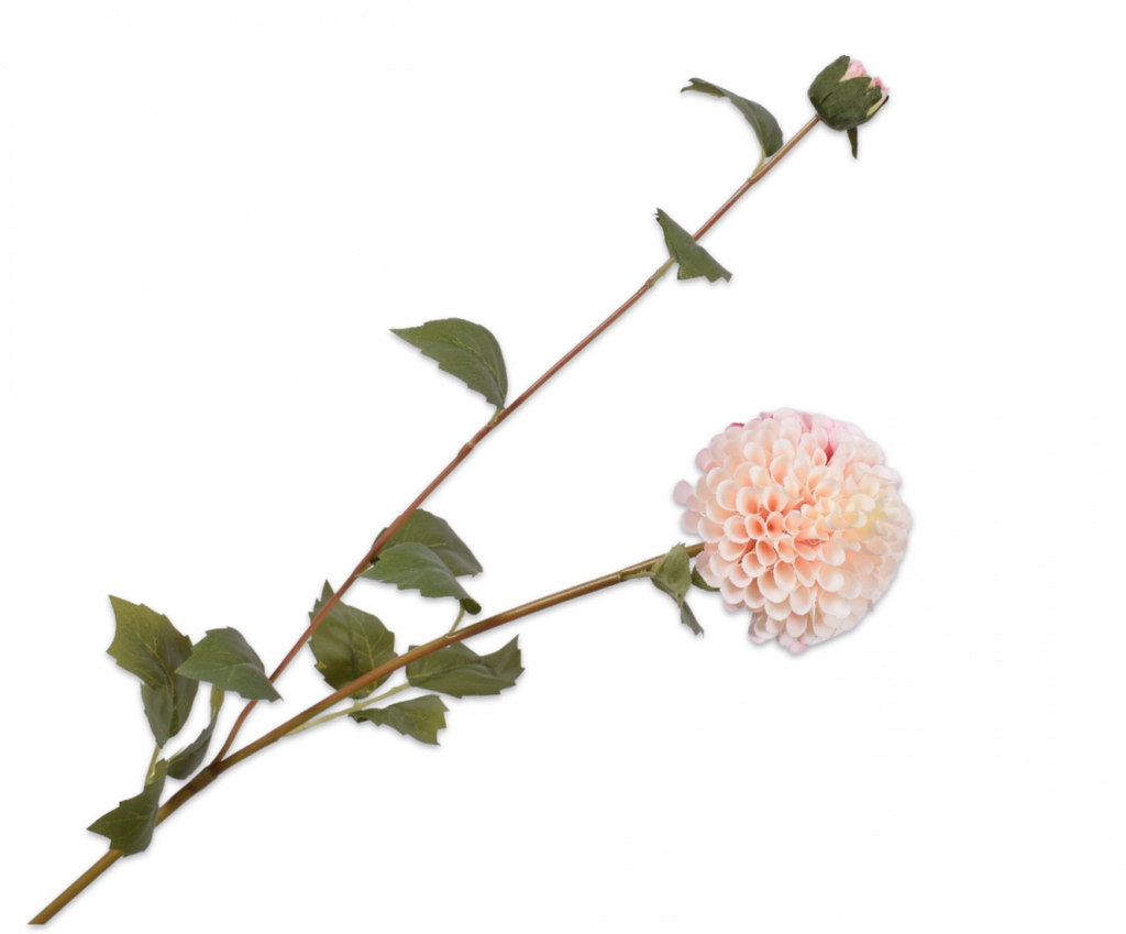 Dahlia 87cm Cream Pink
