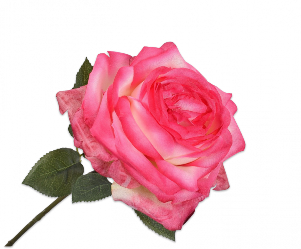 Rose 66cm Pink
