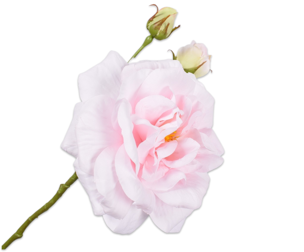 Rose 59cm Pink
