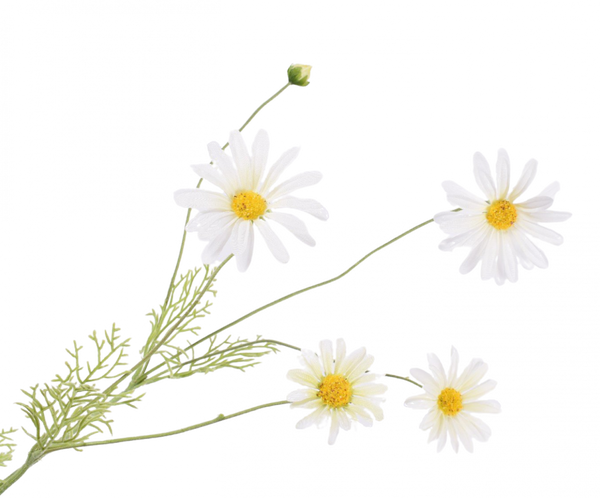 Daisy | Marguerite 92cm White