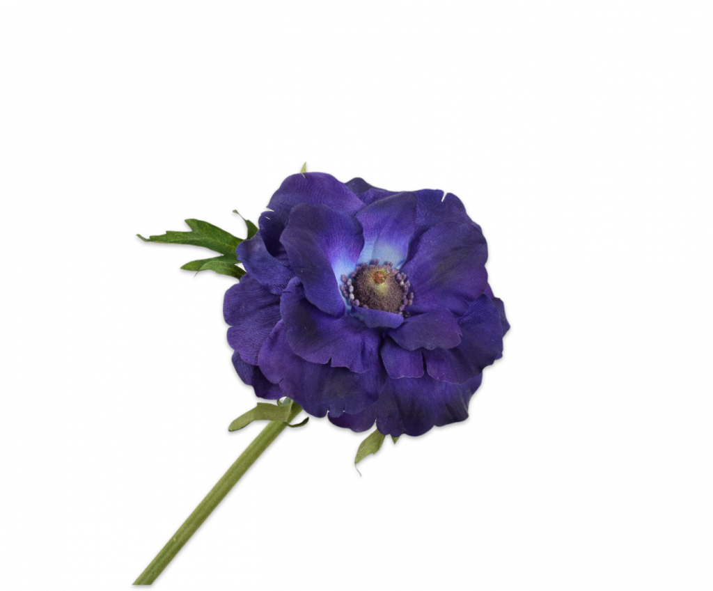 Anemone | Anémone 52cm Purple