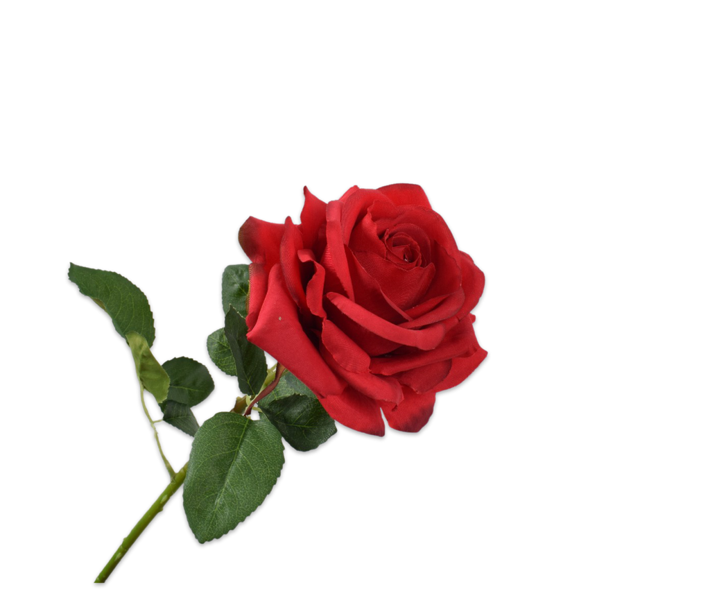Rose 63cm Red