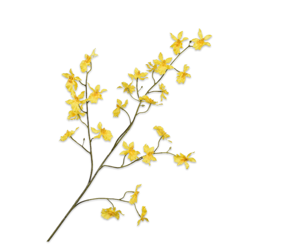 Orchid | Orchidée 100cm Yellow