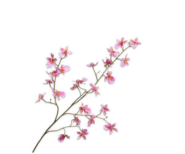 Orchid | Orchidée 100cm Lavender
