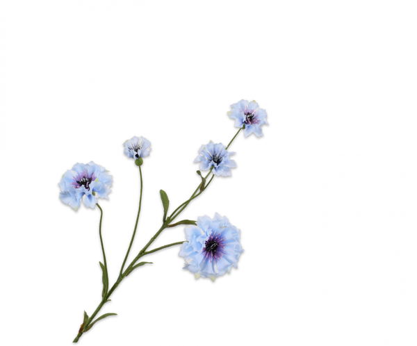 Cornflower | Bleuet 75cm Blue
