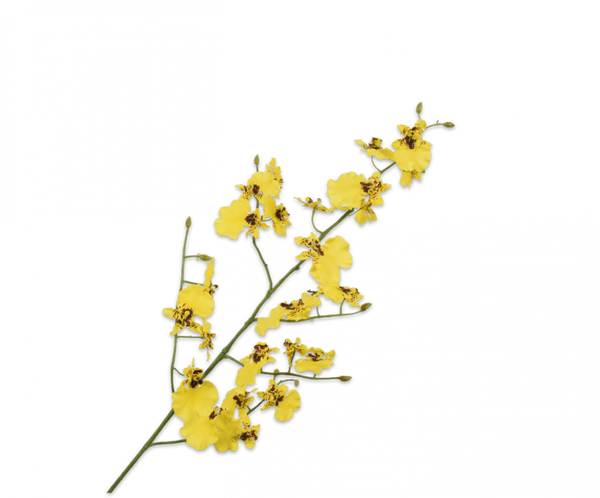 Orchid | Orchidée 94cm Yellow