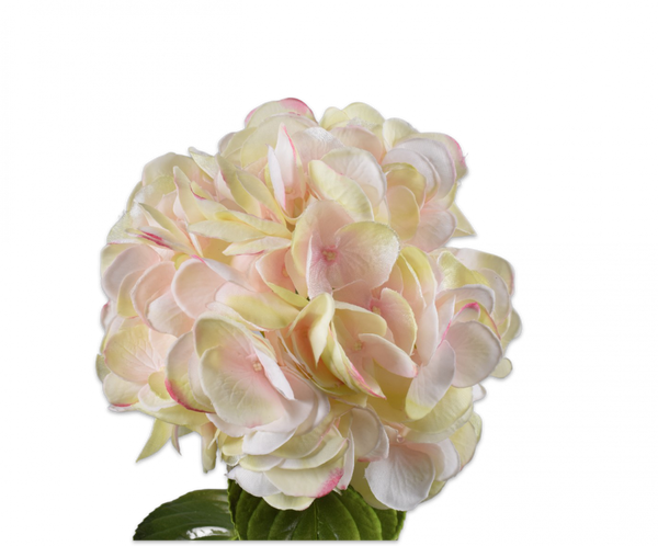 Hydrangea | Hortensia 74cm RealTouch Pink Green
