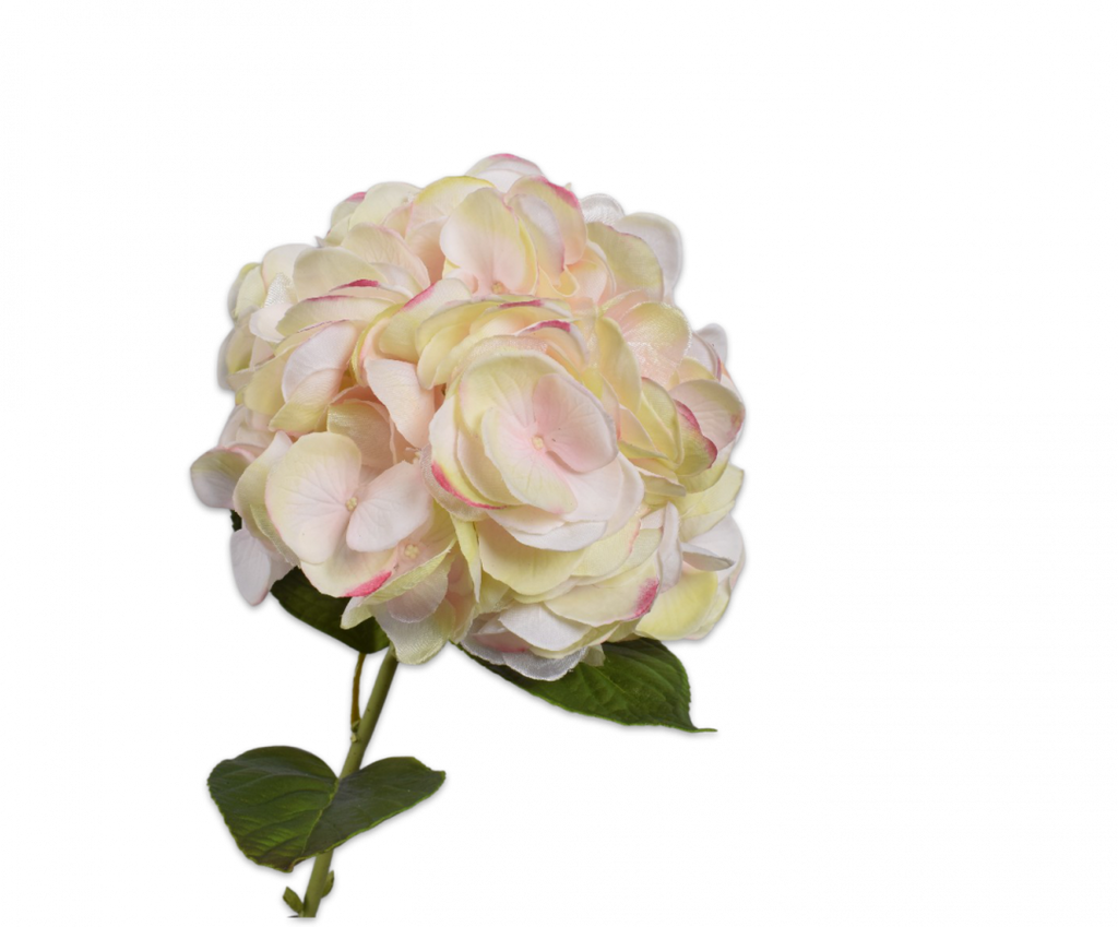 Hydrangea | Hortensia 74cm RealTouch Pink Green