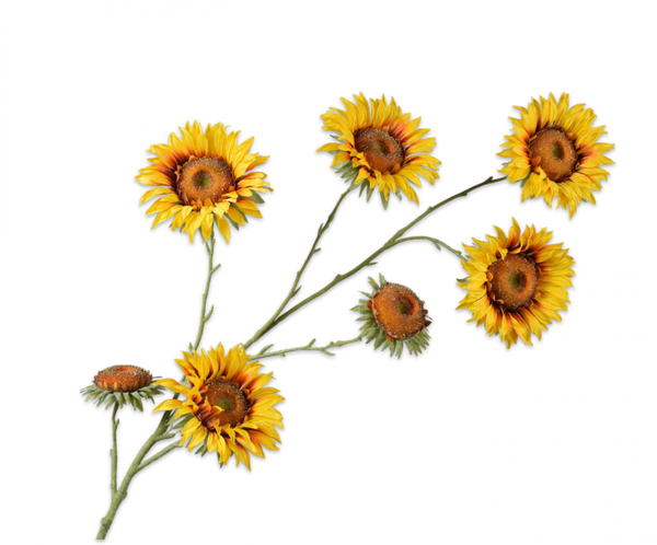 Sunflower | Tournesol 134cm Yellow