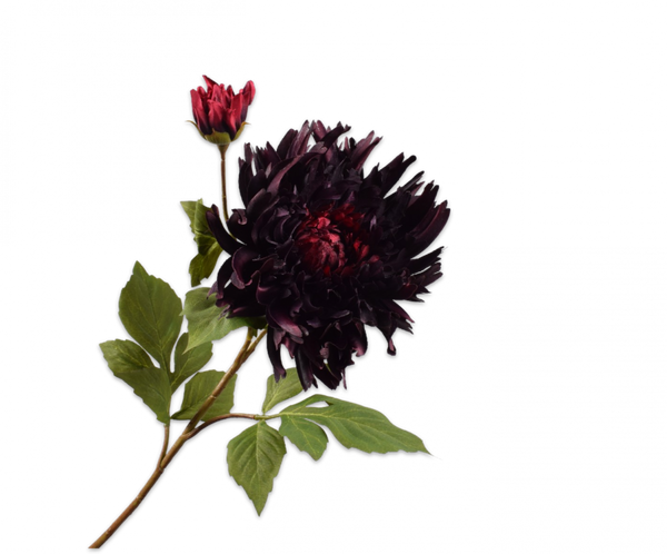 Chrysanthemum | Chrysanthème 78cm Burgundy